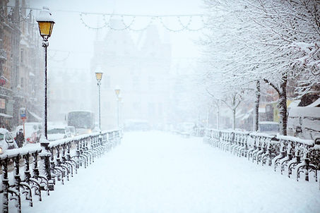 Image by Filip Bunkens