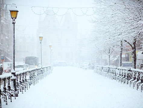 Image by Filip Bunkens