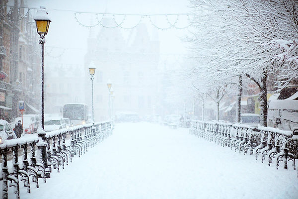 Image by Filip Bunkens
