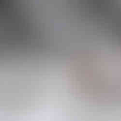 La présence discrète de la faune hivernale