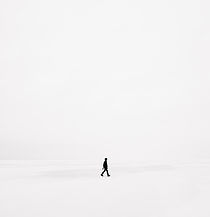 Image by ÉMILE SÉGUIN 🇨🇦
