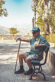 The Elderly Patient.