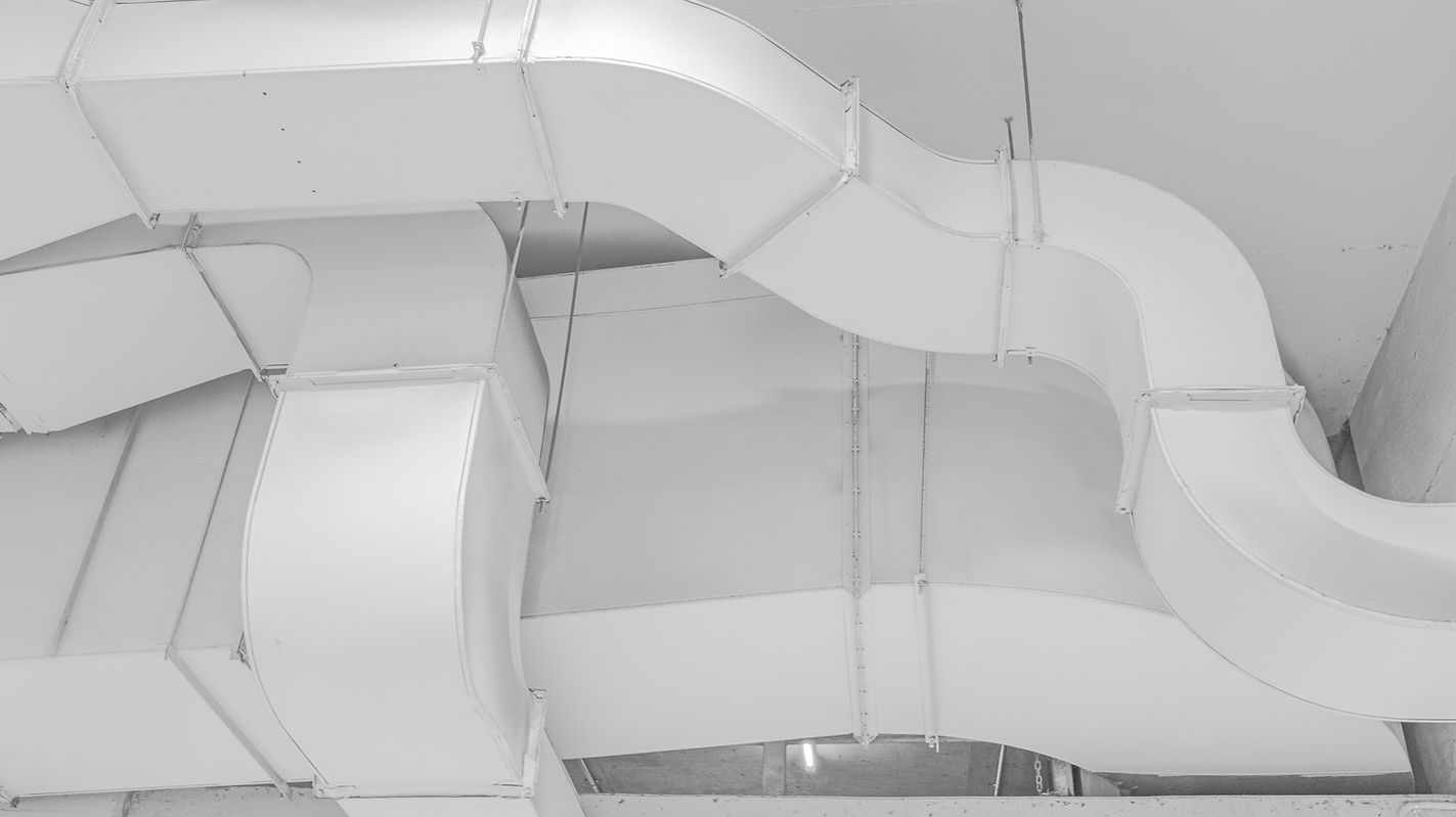 Image by Mitchell Luo