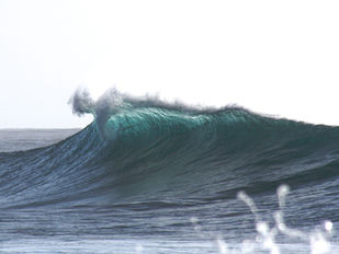 카카오도 '과반노조' 눈앞…노사갈등 부메랑 된 'IT 복지경쟁'