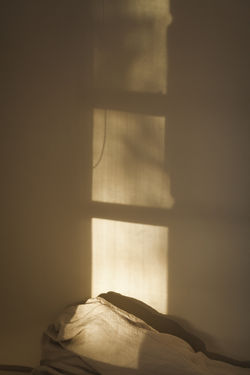 Image by Alexander Possingham