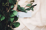 Image by Jazmin Quaynor