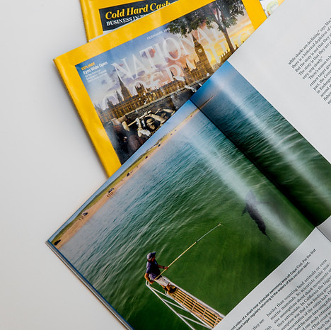 brochure design1