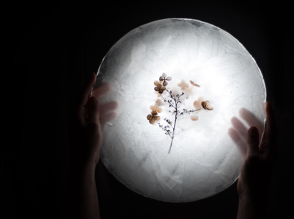 Image by Evie S.