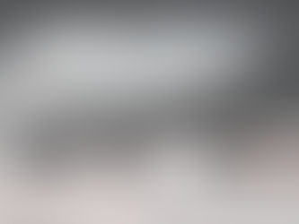 Horses as Healers: Exploring the Science Behind Equine Therapy