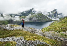 Image by Colin Moldenhauer