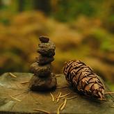 Image by Juan Briseno
