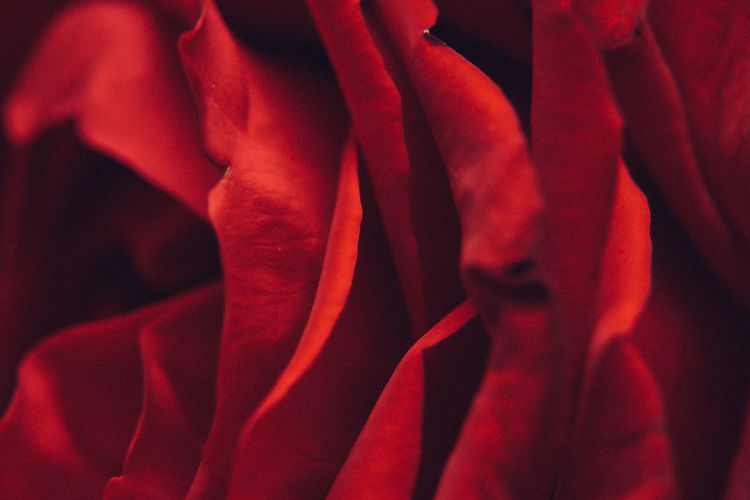 Image by Sophie Dale
