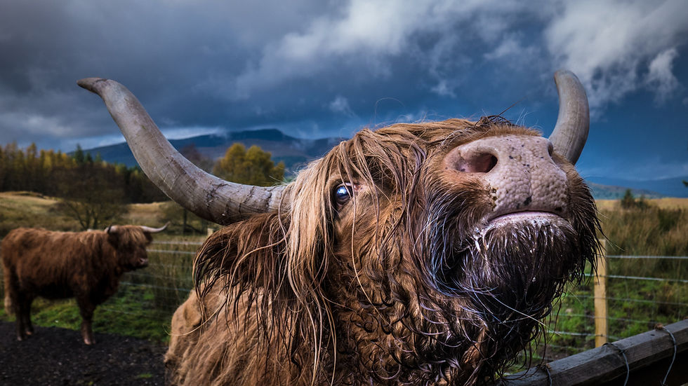Image by Jacco Rienks
