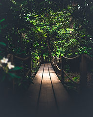 Image by Taneli Lahtinen