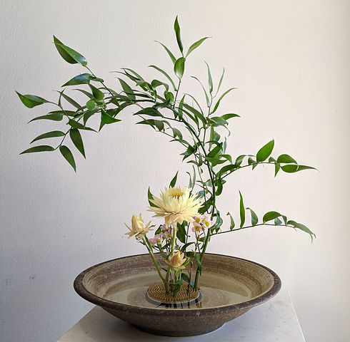 Image by Anna Cicognani