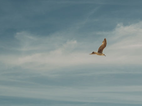 How does volatility impact your choices?