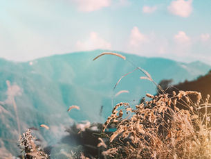 Survive stress by self-soothing