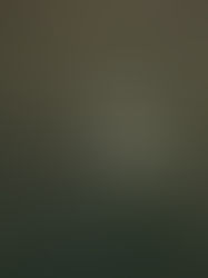 Are You Eating Food Fragments?