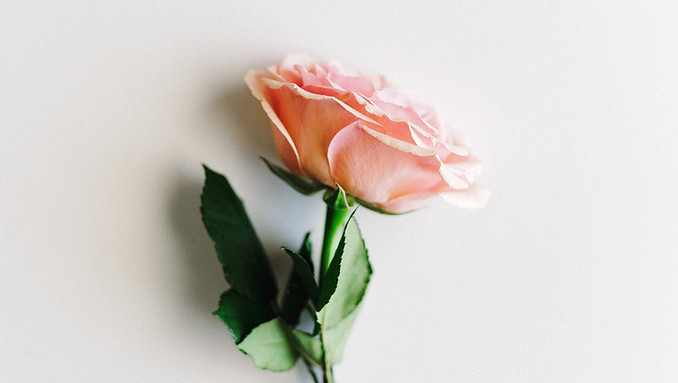 Image by corey oconnell