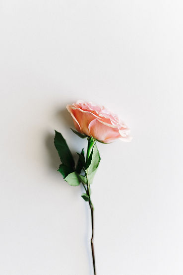Image by corey oconnell