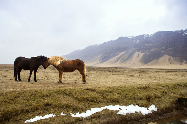 Image de Claire Nolan