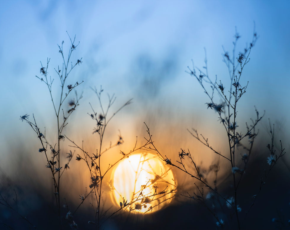 coucher de soleil et ciel bleu