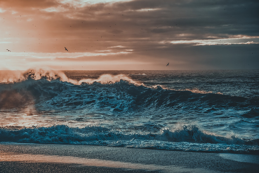 Image by Dominic Swain