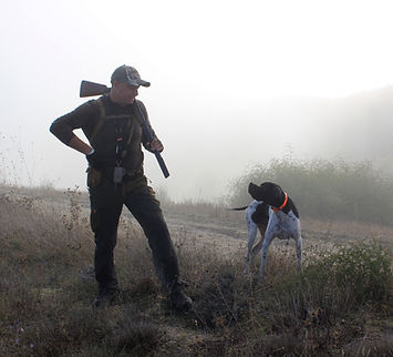 Let's Shoot Some Birds