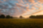 Image de Simon Wilkes