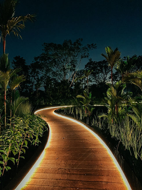 Image de shawnanggg
