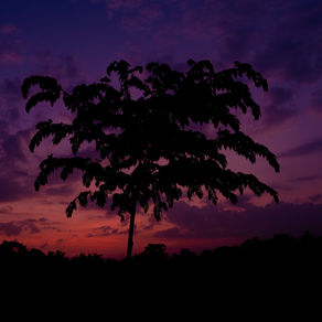 9. Dawn