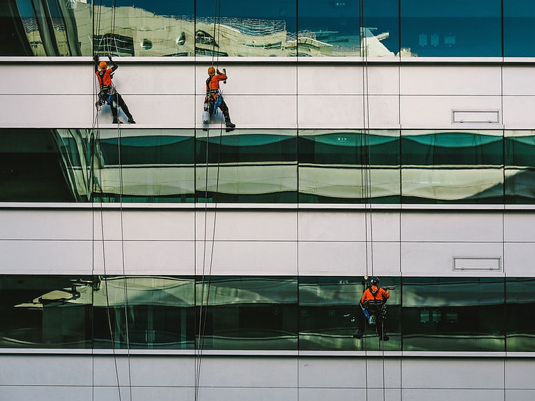 Image by Nuno Silva