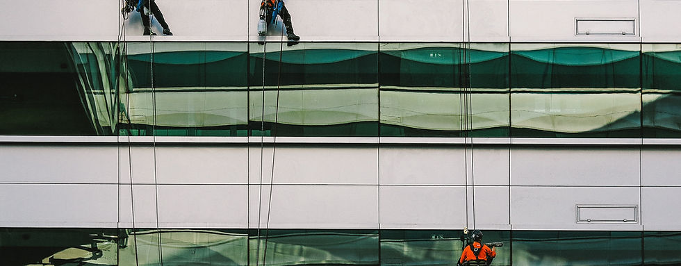 Image by Nuno Silva