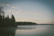 Image by Dustin Scarpitti