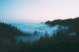 Image by Zachary Domes