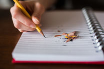 IELTS Academic Task 1 - Essential Sentence Starters - Article