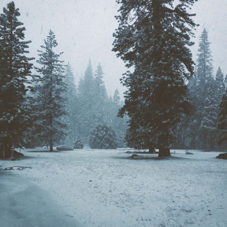 What’s It Like to Driving from Bozeman to Big Sky & West Yellowstone During a Snowstorm with Old Faithful and Friends 
