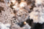 Graebner Winter Wonderland Daddy Daughter Dance 2020