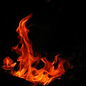 Image de Amador Loureiro