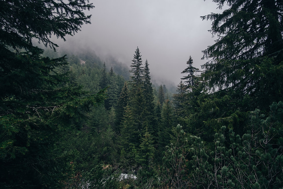 Image by Teodor Kuduschiev