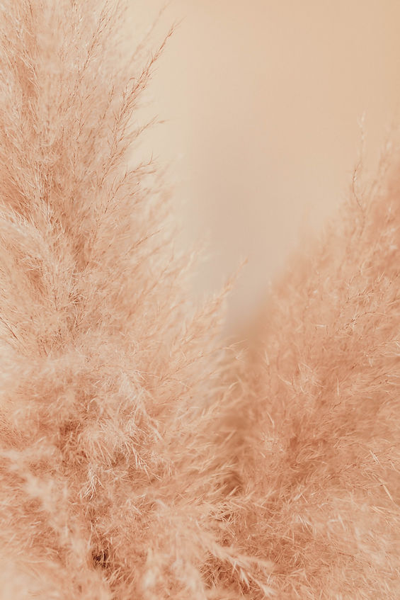 Image by Liana Mikah