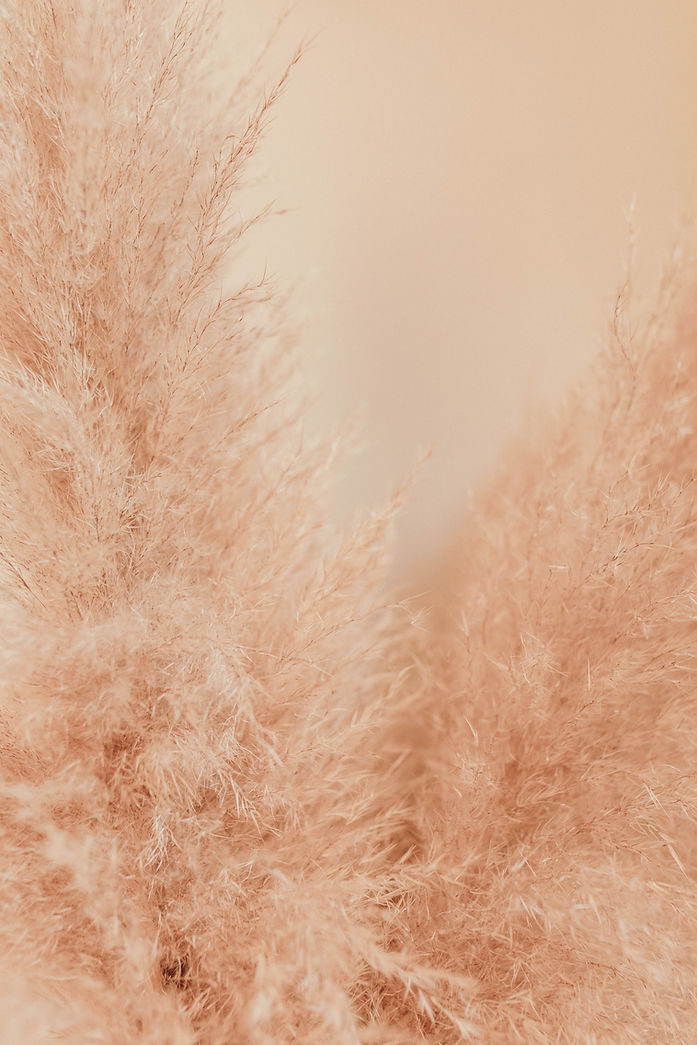 Image by Liana Mikah