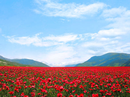 As Armistice Day approaches recall John McCrae's poem
