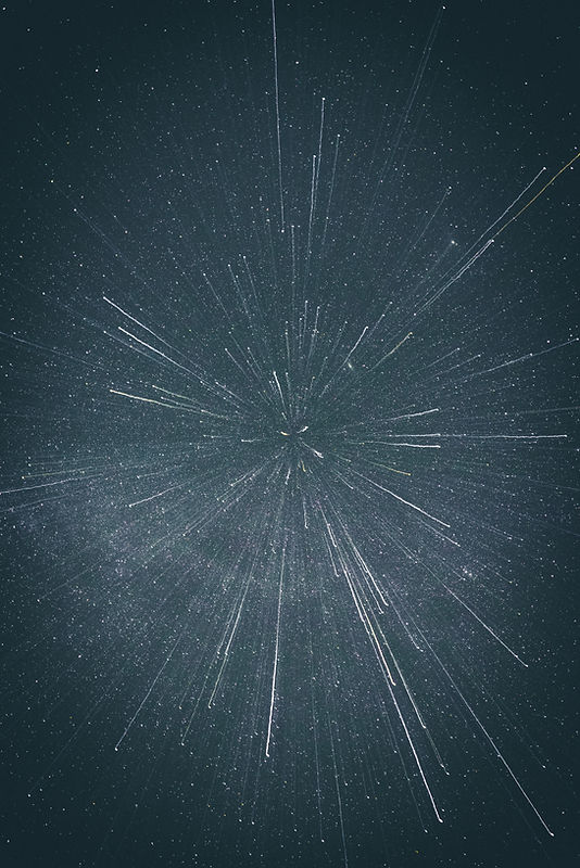 Image by Casey Horner