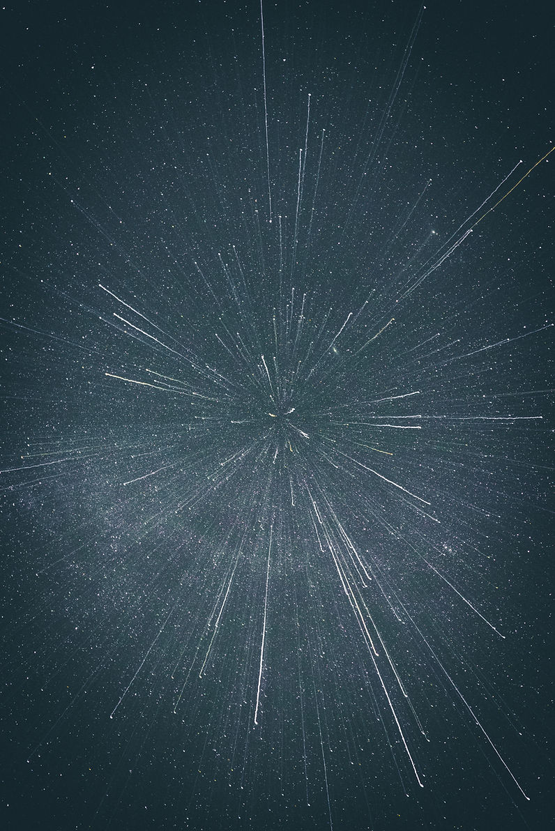 Image by Casey Horner