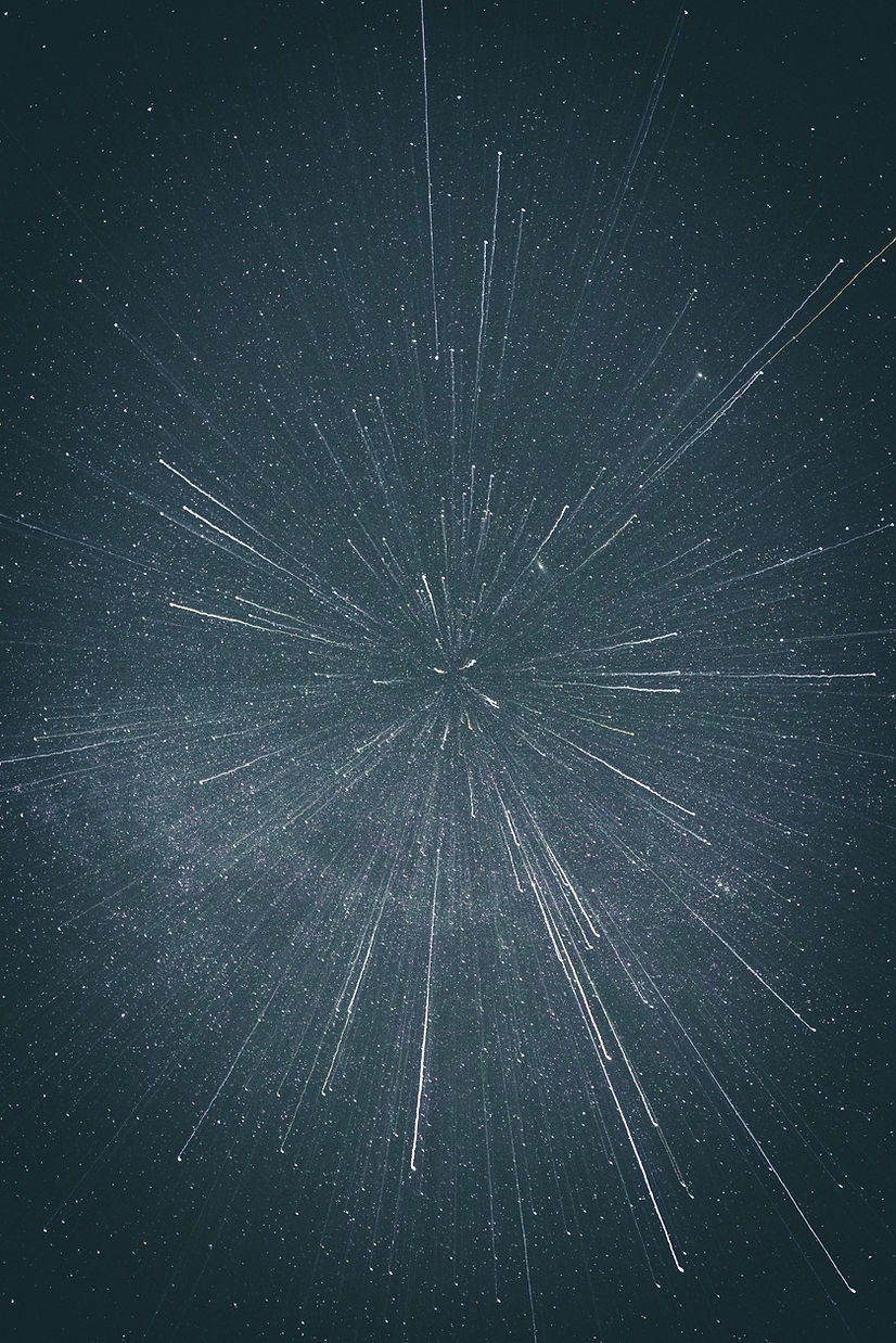 Image by Casey Horner