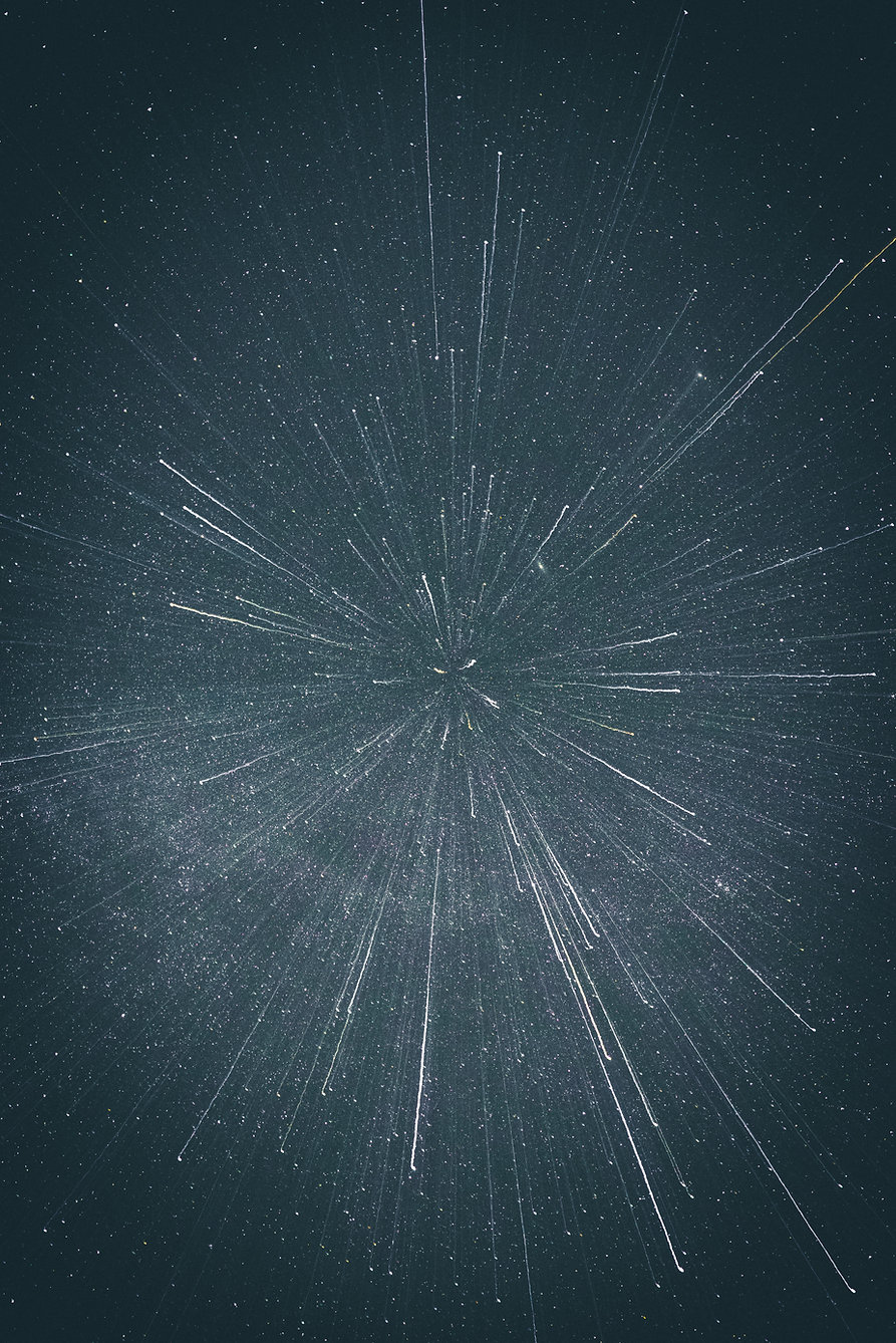 Image by Casey Horner
