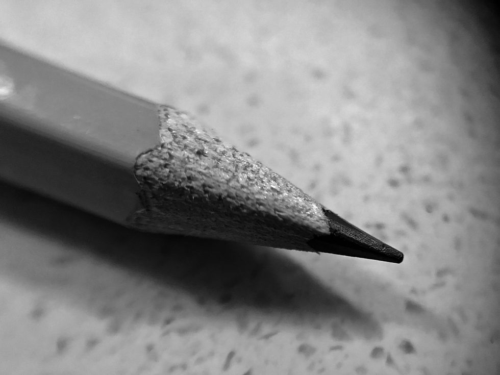 Senior Adult Portraits in Pencil