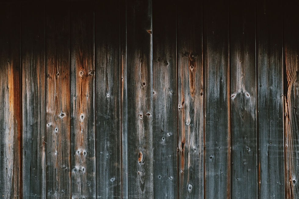 Image by Dan Cook