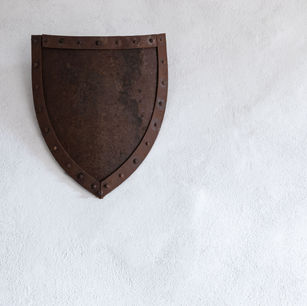 Forming A Strong Financial Defense